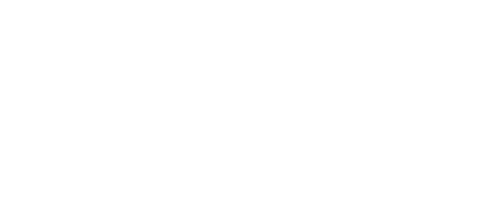 Family_First_logo_white